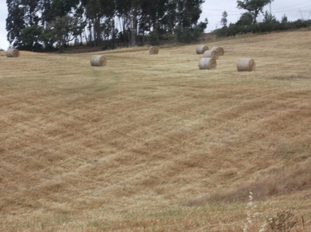 Carocha Courela Do Salgueiro 빌라 객실 사진